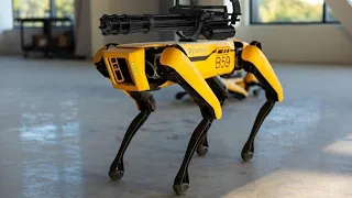 Three Countries That Have Made Dog Robots for Military Purposes