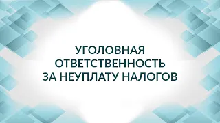 Уголовная ответственность за неуплату налогов, как и за что. Советы адвоката.