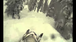 Revy 2015 Deep Pow & Fresh Lines