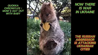 Quokka Chronicles: Mom's Day Out with Baby