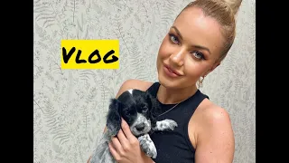 ЧТО С ВЕСОМ? Новый член семьи, новый пирсинг, ПП любовь ♥ LuckyLina