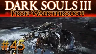 Dark Souls 3 DLC The Ringed City Profi Walkthrough | Die Umringte Stadt #2