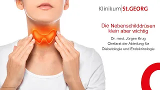 Nebenschilddrüsen - kleine Drüsen, große Bedeutung