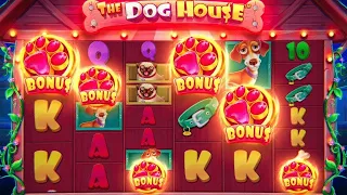 ДОБРЫЕ СОБАКИ НАСЫПАЮТ ДЕНЕГ/ЗАНОС В THE DOG HOUSE !