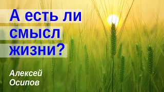 А есть ли смысл жизни?