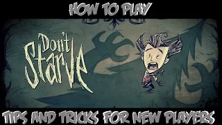 How To Play - Don't Starve - The Basics