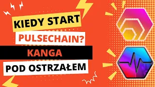 Kiedy w końcu ten PulseChain? Czy giełda Kanga upadnie?