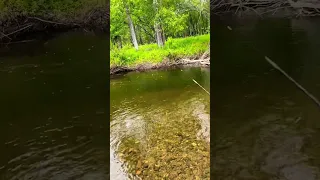 MONGOLIA FISHING -TUUL RIVER (up)