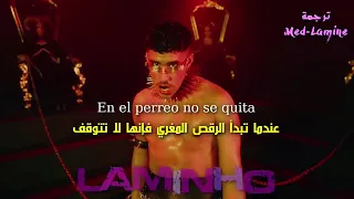 Bad Bunny x Nesi – Yo Perreo Sola مترجمة عربي
