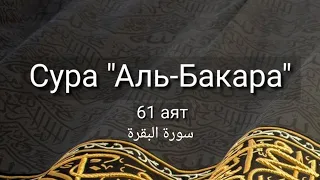 Выучите Коран наизусть | Каждый аят по 10 раз 🌼| Сура 2 "Аль-Бакара" (61 аят) | Транскрипция ⬇️