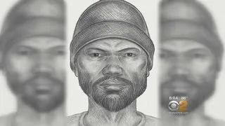 Sketch Released In Howard Beach