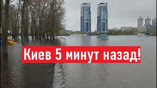 Затопило все пляжи! Как мы сейчас живем в Киеве?