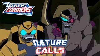 Transformers Animated Review - Nature Calls