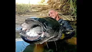 Welsangeln am Ebro (Riba Roja Spanien) - MONSTER CATFISH (Spain) - Chris Adventure Tours - Part 2