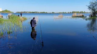 Рыбалка на Днепре. Черкассы. 06.05.2022.