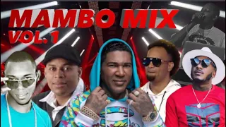 MAMBO MIX VOL.1 ❌ (DE LO QUE YA NO PONEN) | DJ DIGA TOKYO | OMEGA EL FUERTE- SUJETO ORO 24- AMARFIS