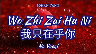 Wo Zhi Zai Hu Ni 我只在乎你 Teresa Teng - No Vocal