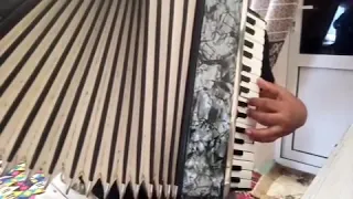 Accordion Contasina 3/4 razmer Madi in Germany