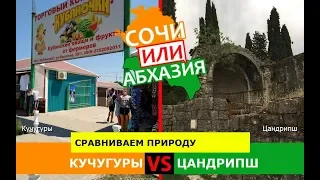 Сочи или Абхазия!  Сравниваем природу. Кучугуры и Цандрипш