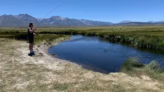 CATCHING LOADS OF FISH AT OWENS RIVER | MAMMOTH LAKES, CA