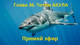 Тотем АКУЛА🦈. Глава 36. Энциклопедия "Всё о Шаманизме". Шаман - Сергей Попроцкий. Прямой эфир.