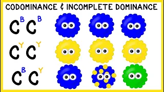 Codominance and Incomplete Dominance: Non-Mendelian Genetics