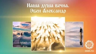 Наша душа вечна. Эбен Александр