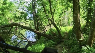 Stumpjumper Evo-Oyster Creek MTB Trails Compilation-Spring 2024