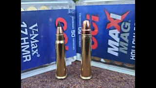 17hmr vs 22wmr how much knockdown power down range