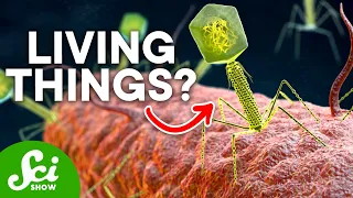 Are Infectious Viruses Actually Alive?