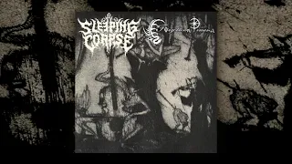 Sleeping Corpse / Forgotten Times - (Full Split) (Dark Ambient / Dungeon Synth)