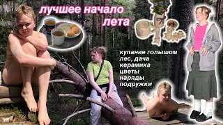 купаюсь голышом, еду на дачу, гуляю по лесу