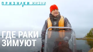 Где раки зимуют. Быт биологической станции | ПРИЗНАКИ ЖИЗНИ