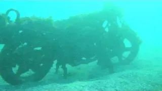 Shelly Beach Freedive