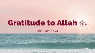 Gratitude to Allah | Abu Bakr Zoud