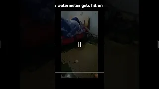 tree falls on man sleeping in room full water and watermelon falls from him into creek