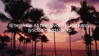 dj nevykele- Aš tavo lovoj, o tu lolą kapoji |Lyrics slowed+reverb