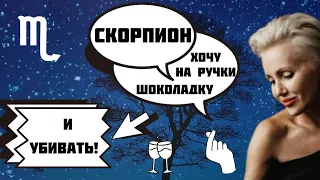 Скорпион! Какая она? Бегите, если успеете! Ведьма без помела!