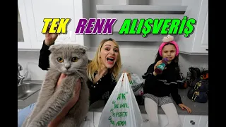 24 SAAT TEK RENK CHALLENGE HAZIRLIĞIMIZ! ALIŞVERİŞ VLOG!