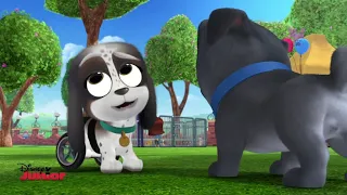 Puppy Dog Pals - Adopt-A-Palooza EXCLUSIVE CLIP