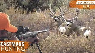 GIANT 200 inch buck! Hunting Trophy Mule Deer (Eastmans’ Hunting Journals)