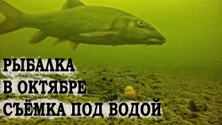 Монтаж для подводой съёмки //Рыбалка в октябре съёмка под водой