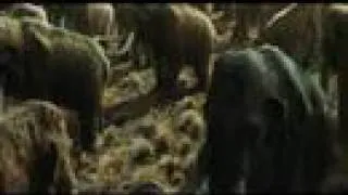 10,000 B.C. (Trailer 2008)