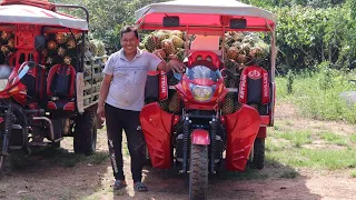 MotoCarguero Artsun con Corona de fuerza 8:24