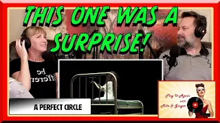 Eat The Elephant - A PERFECT CIRCLE Reaction with Mike & Ginger