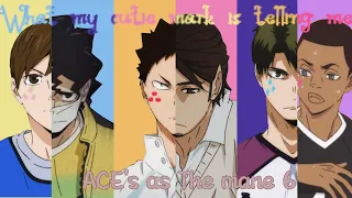 What my cutie mark is telling me//HQ x Mlp//Ft. Ace's//Haikyuu text