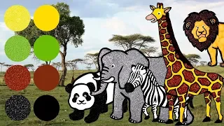 Safari Animals Eat Lunch At the Zoo! | Learn What Wild Animals Eat