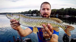 Trolling for Summer PIKE!!