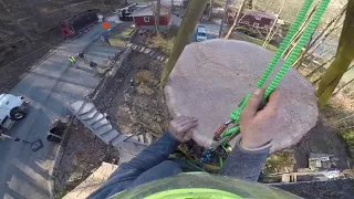 Arbor Dane removing oak w/ Paul Bunyan inc, knuckleboom tree climbing