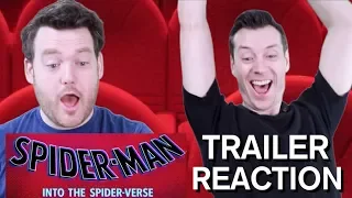 Spider-Man : Into the Spider-verse